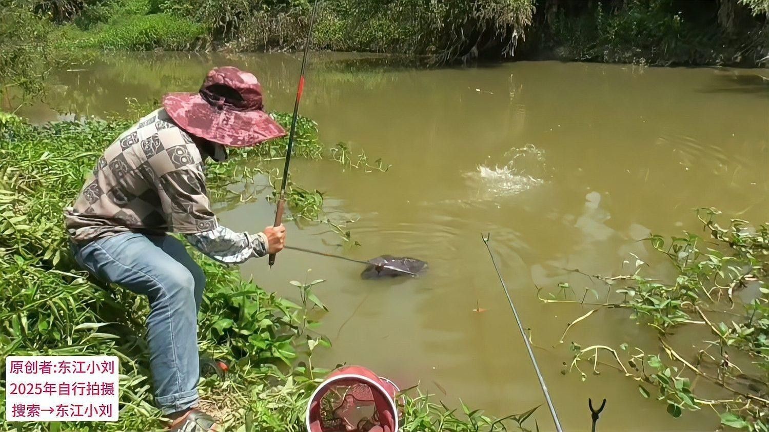色達開水族店怎么樣？加盟祥龍魚場賣龍魚市場怎樣？ 色達開水族店怎么樣？加盟祥龍魚場賣龍魚市場怎樣？ 水族館百科（水族館加盟） 第3張