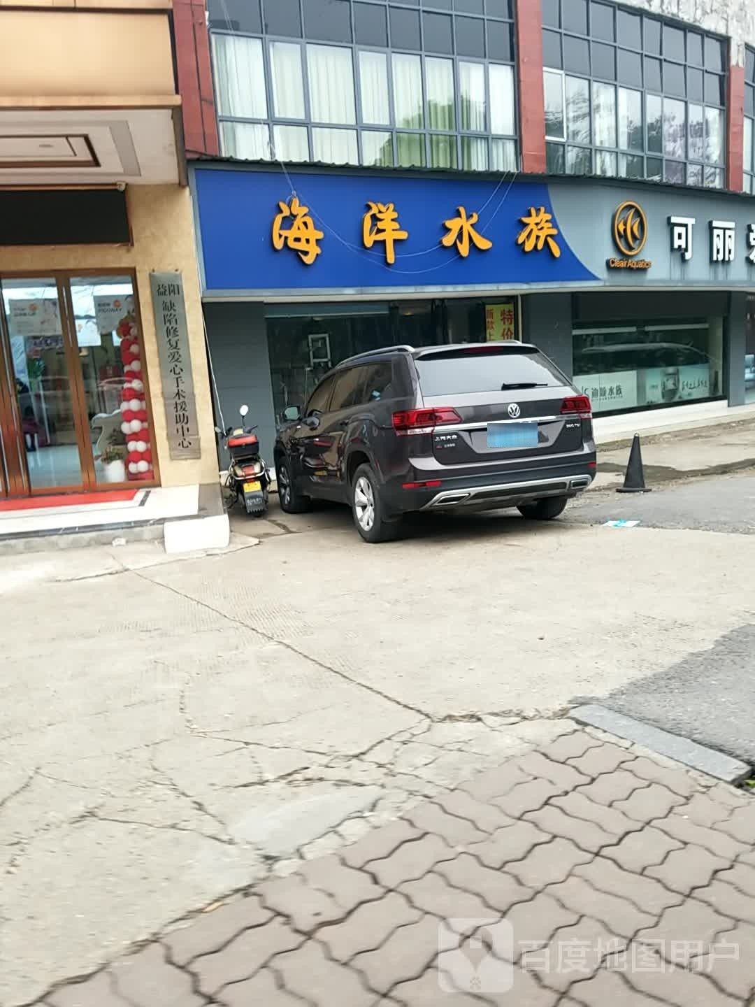 赫山開水族店怎么樣？加盟祥龍魚場賣龍魚市場怎樣？