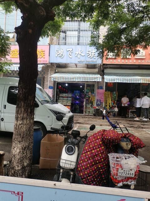 隰縣開水族店怎么樣?加盟祥龍魚場賣龍魚市場怎樣? 水族館百科(水族館加盟) 第6張 隰縣開水族店怎么樣?加盟祥龍魚場賣龍魚市場怎樣? 隰縣開水族店怎么樣?加盟祥龍魚場賣龍魚市場怎樣? 水族館百科(水族館加盟) 第6張