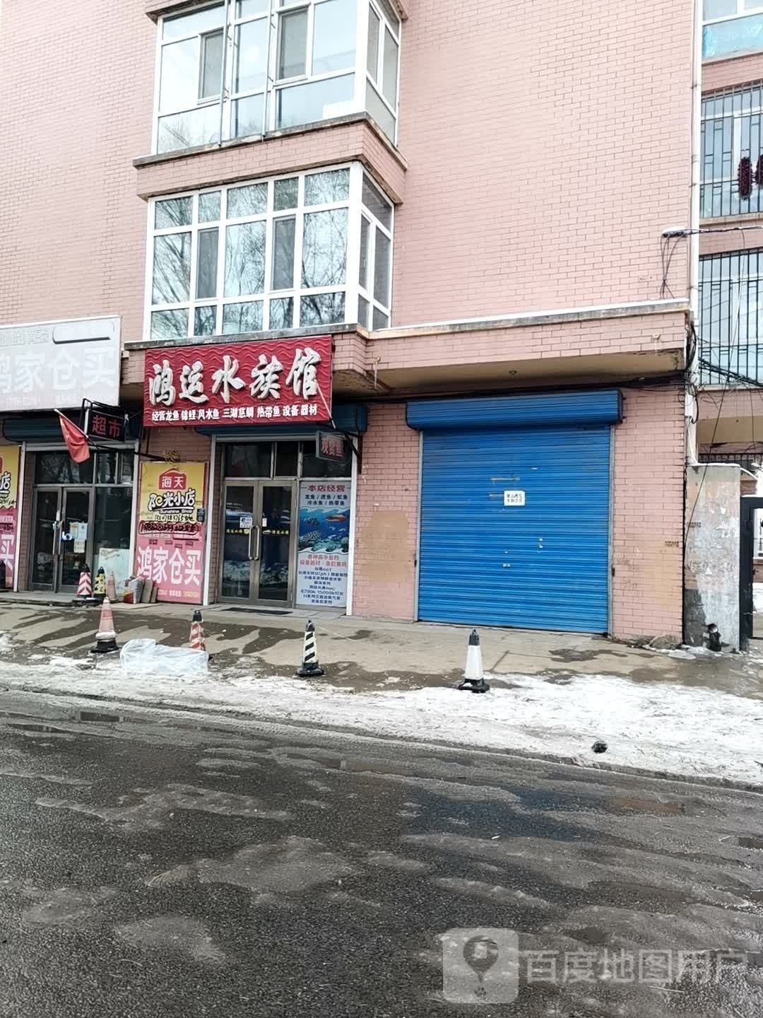 雙城開水族店怎么樣？加盟祥龍魚場賣龍魚市場怎樣？ 雙城開水族店怎么樣？加盟祥龍魚場賣龍魚市場怎樣？ 水族館百科（水族館加盟） 第1張