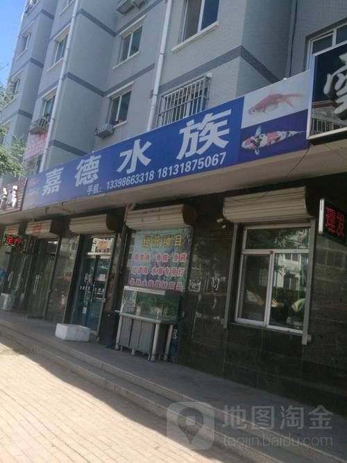 承德縣開水族店怎么樣？加盟祥龍魚場(chǎng)賣龍魚市場(chǎng)怎樣？ 承德縣開水族店怎么樣？加盟祥龍魚場(chǎng)賣龍魚市場(chǎng)怎樣？ 水族館百科（水族館加盟） 第1張