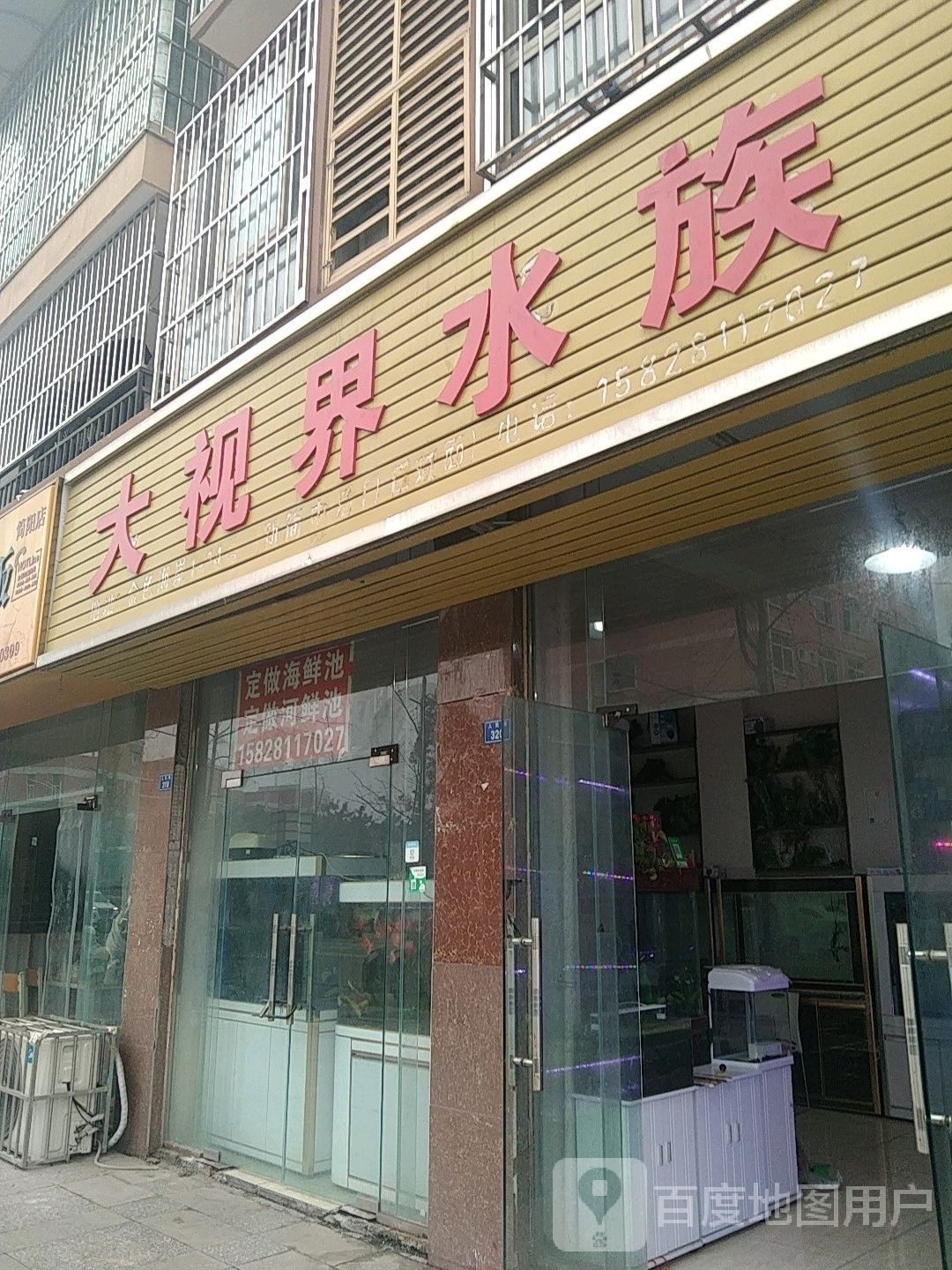 簡陽開水族店怎么樣？加盟祥龍魚場賣龍魚市場怎樣？ 簡陽開水族店怎么樣？加盟祥龍魚場賣龍魚市場怎樣？ 水族館百科（水族館加盟） 第3張