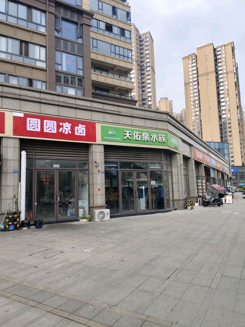 簡陽開水族店怎么樣？加盟祥龍魚場賣龍魚市場怎樣？ 簡陽開水族店怎么樣？加盟祥龍魚場賣龍魚市場怎樣？ 水族館百科（水族館加盟） 第2張