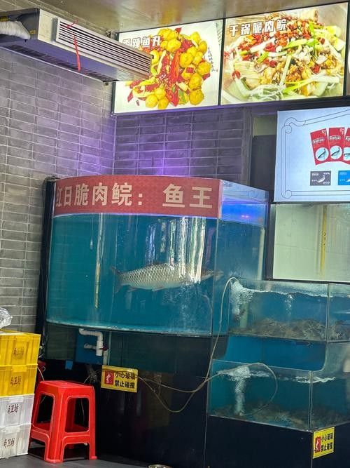 蚌山開水族店怎么樣？加盟祥龍魚場賣龍魚市場怎樣？