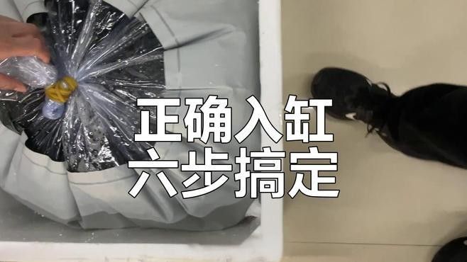 汝南開水族店怎么樣？加盟祥龍魚場賣龍魚市場怎樣？ 汝南開水族店怎么樣？加盟祥龍魚場賣龍魚市場怎樣？ 水族館百科（水族館加盟） 第12張