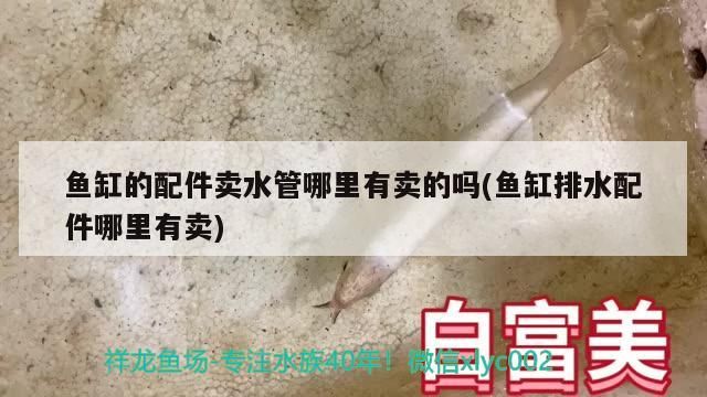 魚(yú)缸的配件賣(mài)水管哪里有賣(mài)的嗎(魚(yú)缸排水配件哪里有賣(mài))