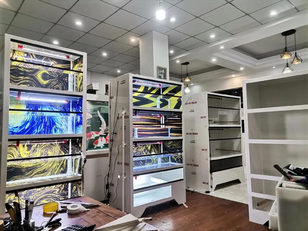 仙桃開水族店怎么樣?加盟祥龍魚場賣龍魚市場怎樣?