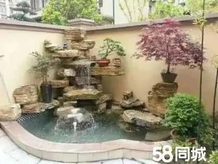 仙桃開水族店怎么樣？加盟祥龍魚場賣龍魚市場怎樣？