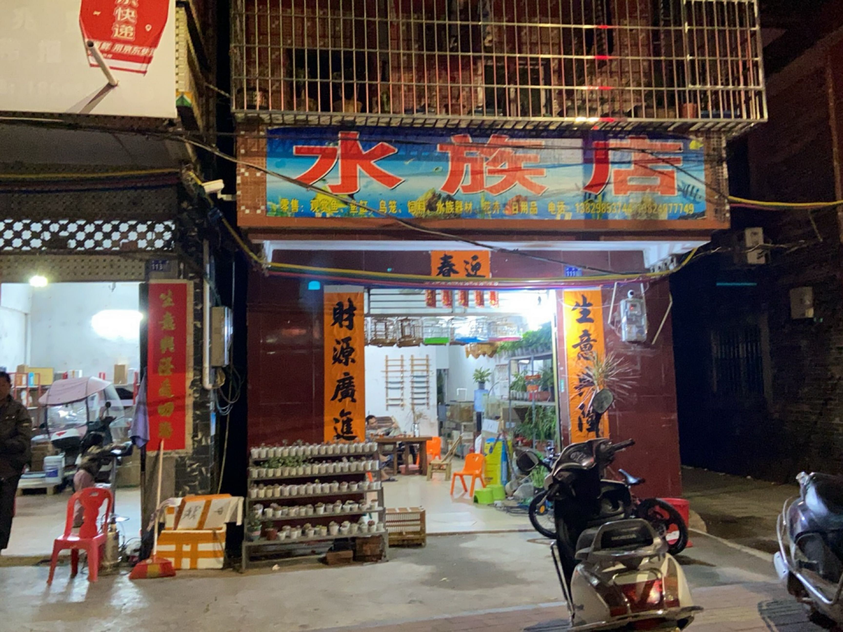 江城開水族店怎么樣？加盟祥龍魚場賣龍魚市場怎樣？