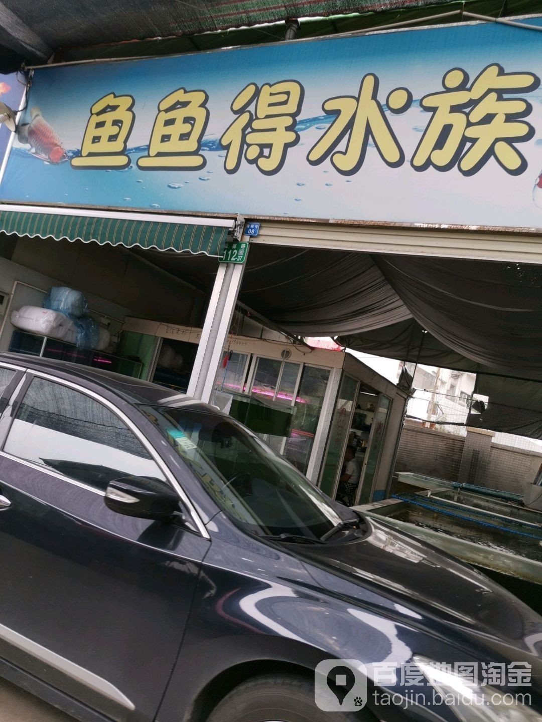 江城開水族店怎么樣？加盟祥龍魚場賣龍魚市場怎樣？
