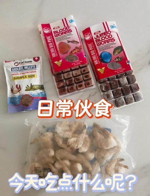 三角恐龍魚吃什么？咬人嗎圖片