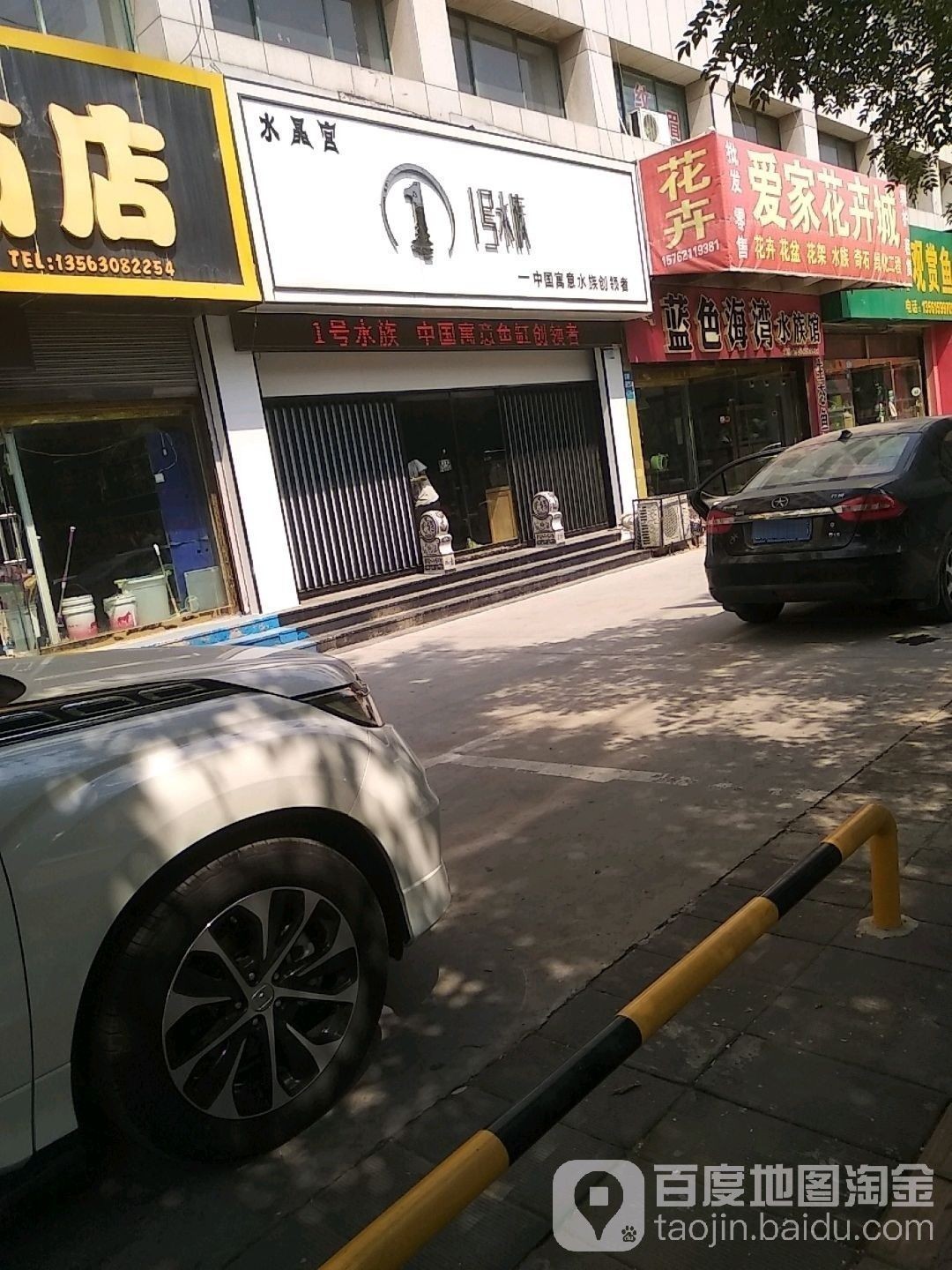 濱州開水族店怎么樣？加盟祥龍魚場賣龍魚市場怎樣？