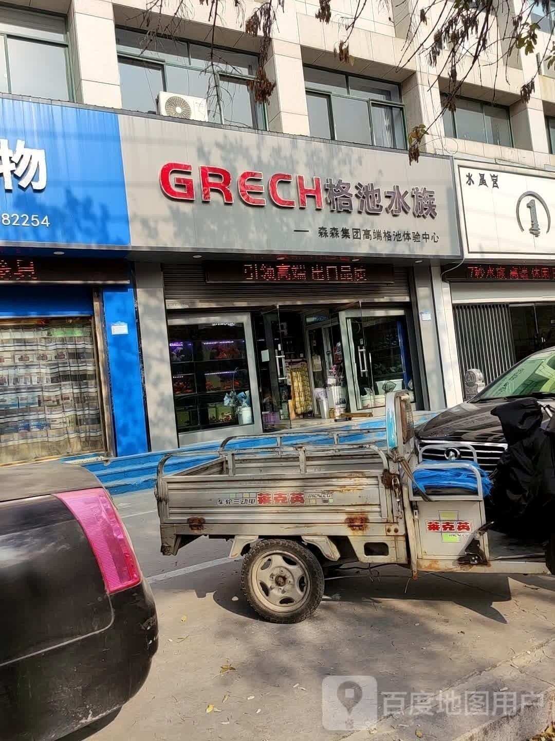 濱州開水族店怎么樣？加盟祥龍魚場賣龍魚市場怎樣？