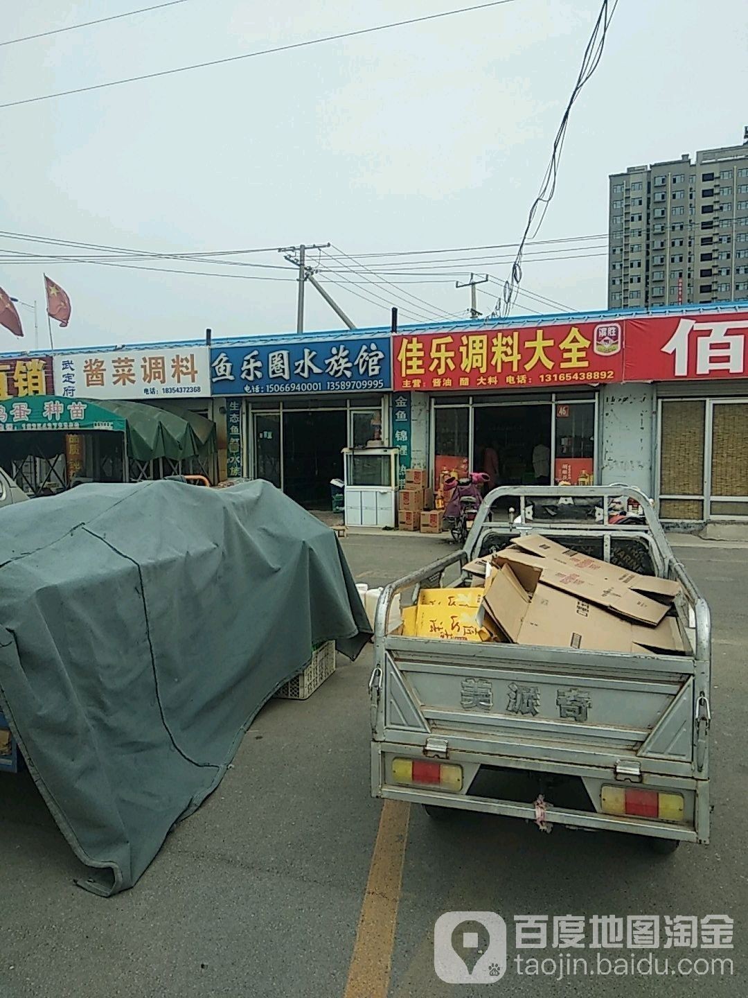 濱州開水族店怎么樣？加盟祥龍魚場賣龍魚市場怎樣？