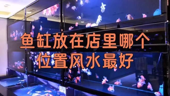 長順開水族店怎么樣？加盟祥龍魚場賣龍魚市場怎樣？ 長順開水族店怎么樣？加盟祥龍魚場賣龍魚市場怎樣？ 水族館百科（水族館加盟） 第3張