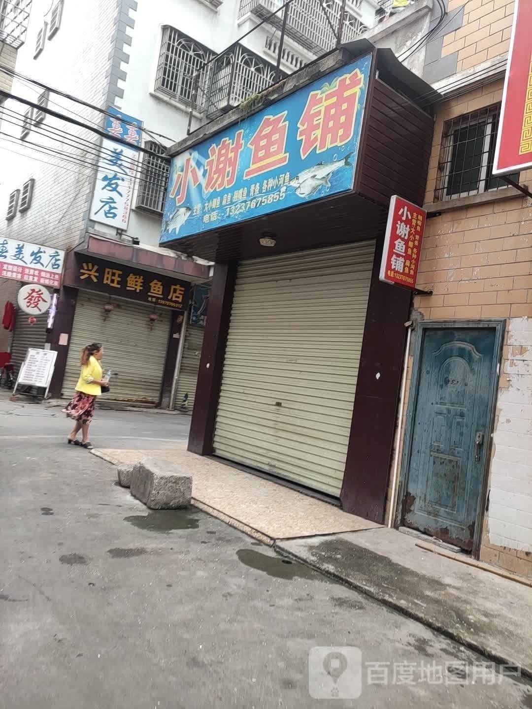 瑞金開水族店怎么樣？加盟祥龍魚場賣龍魚市場怎樣？ 瑞金開水族店怎么樣？加盟祥龍魚場賣龍魚市場怎樣？ 水族館百科（水族館加盟） 第2張