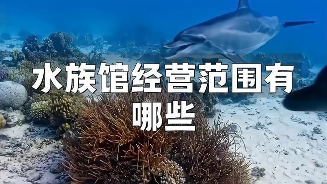 左貢開水族店怎么樣？加盟祥龍魚場賣龍魚市場怎樣？ 左貢開水族店怎么樣？加盟祥龍魚場賣龍魚市場怎樣？ 水族館百科（水族館加盟） 第2張