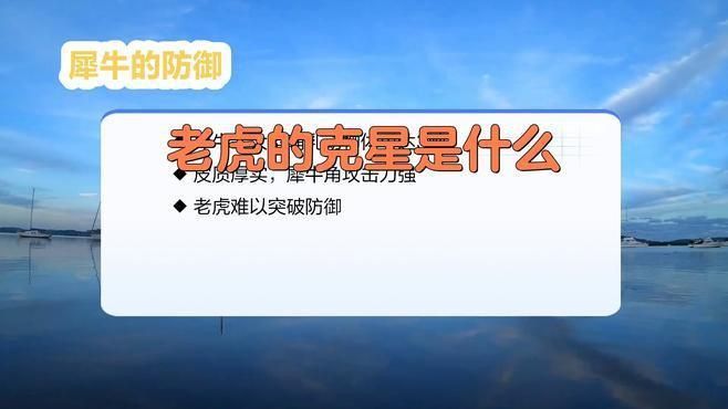老虎的天敵 老虎的天敵 龍魚百科 第4張
