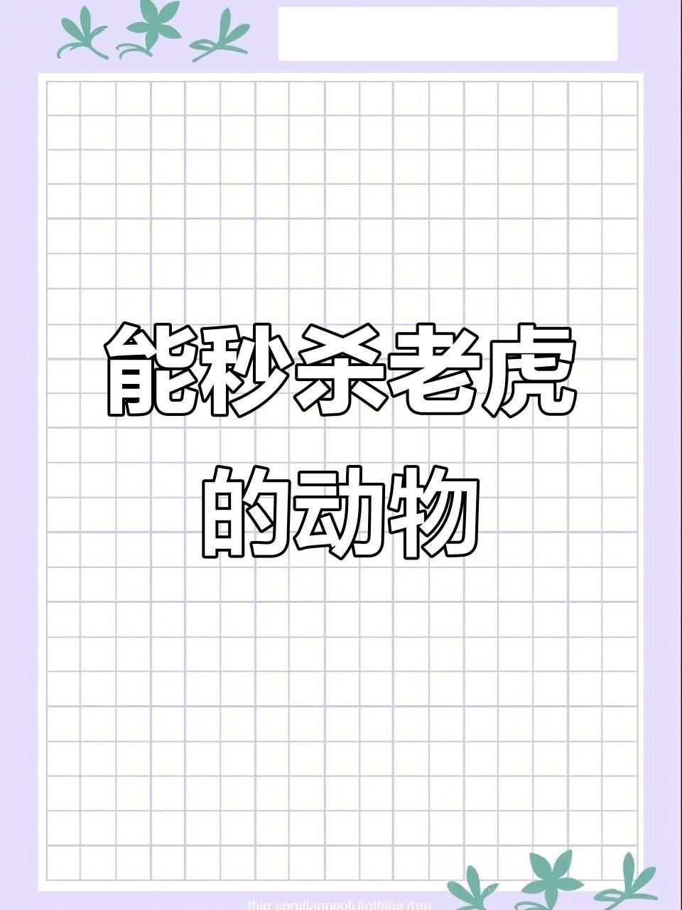 老虎的天敵 老虎的天敵 龍魚百科 第6張