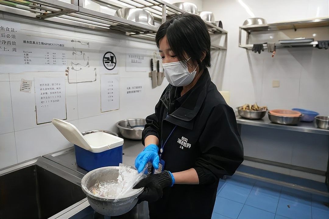 普陀開水族店怎么樣？加盟祥龍魚場(chǎng)賣龍魚市場(chǎng)怎樣？ 普陀開水族店怎么樣？加盟祥龍魚場(chǎng)賣龍魚市場(chǎng)怎樣？ 水族館百科（水族館加盟） 第11張