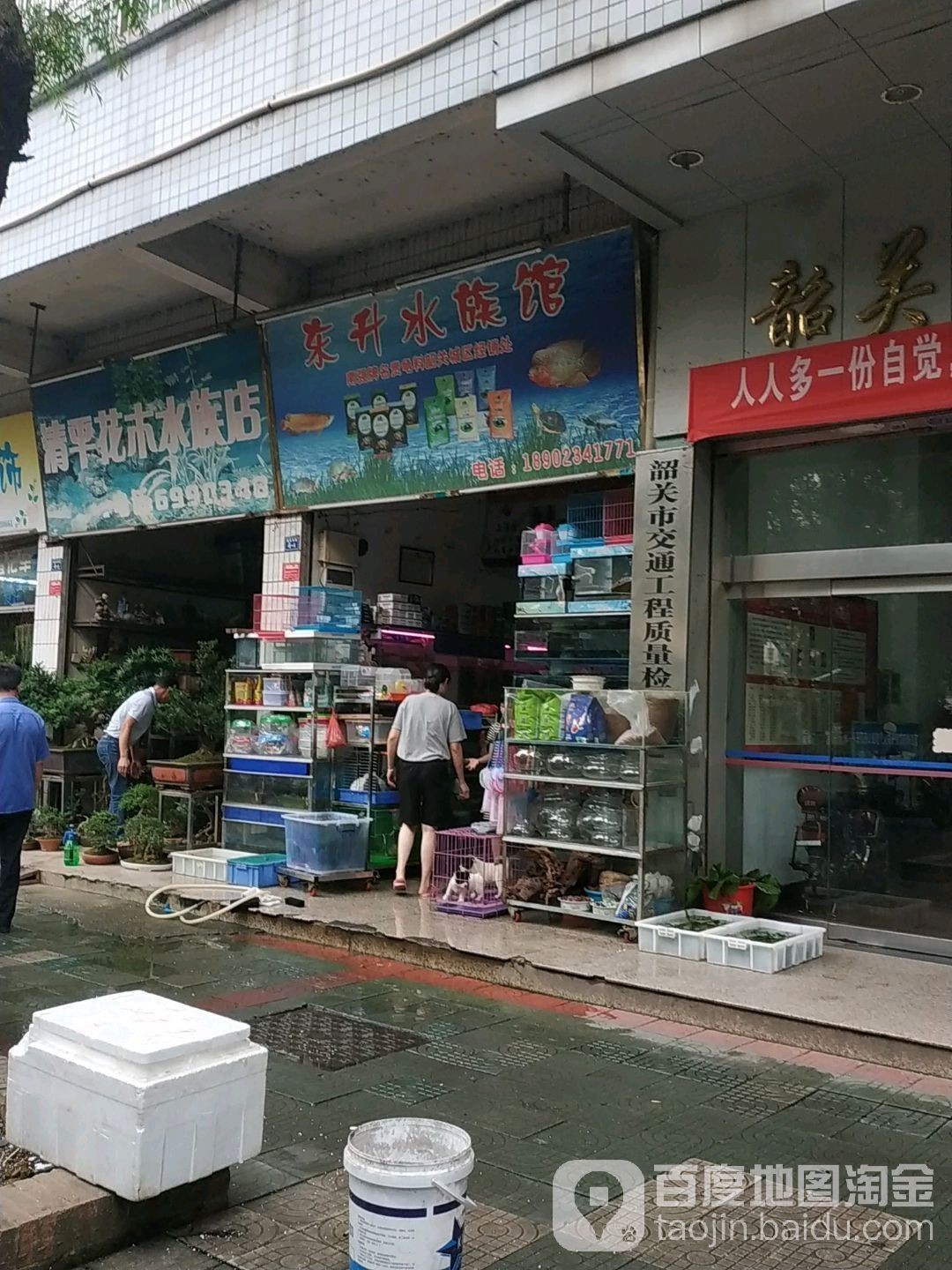 湞江開水族店怎么樣？加盟祥龍魚場賣龍魚市場怎樣？ 湞江開水族店怎么樣？加盟祥龍魚場賣龍魚市場怎樣？ 水族館百科（水族館加盟） 第2張