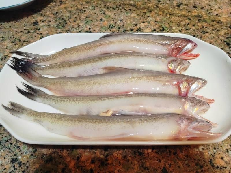 深海紅龍魚煮湯時(shí)如何搭配？ 深海紅龍魚煮湯時(shí)如何搭配？ 龍魚百科 第7張