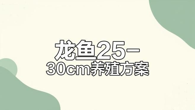 天峻開水族店怎么樣？加盟祥龍魚場賣龍魚市場怎樣？