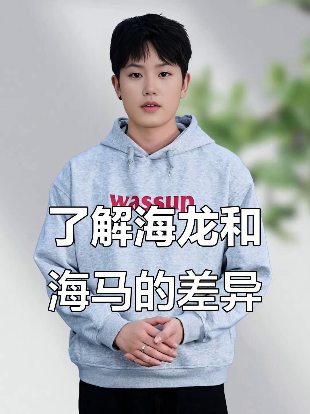 如何區分海龍與海馬? 龍魚百科 第1張 如何區分海龍與海馬? 如何區分海龍與海馬? 龍魚百科 第1張
