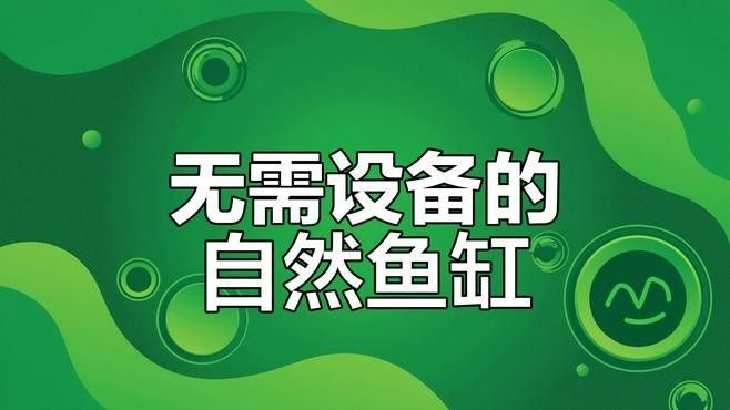 寧晉開水族店怎么樣？加盟祥龍魚場賣龍魚市場怎樣？ 寧晉開水族店怎么樣？加盟祥龍魚場賣龍魚市場怎樣？ 水族館百科（水族館加盟） 第10張