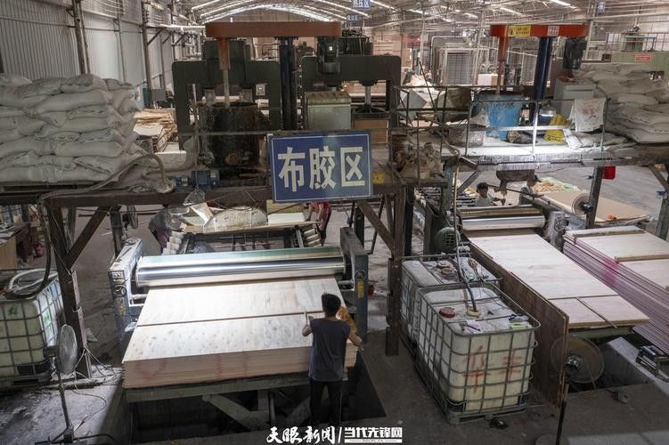 從江開水族店怎么樣?加盟祥龍魚場賣龍魚市場怎樣? 水族館百科(水族館加盟) 第5張 從江開水族店怎么樣?加盟祥龍魚場賣龍魚市場怎樣? 從江開水族店怎么樣?加盟祥龍魚場賣龍魚市場怎樣? 水族館百科(水族館加盟) 第5張