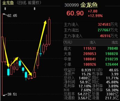 金龍魚下跌:金龍魚是否下跌 龍魚百科 第2張 金龍魚下跌:金龍魚是否下跌 金龍魚下跌:金龍魚是否下跌 龍魚百科 第2張