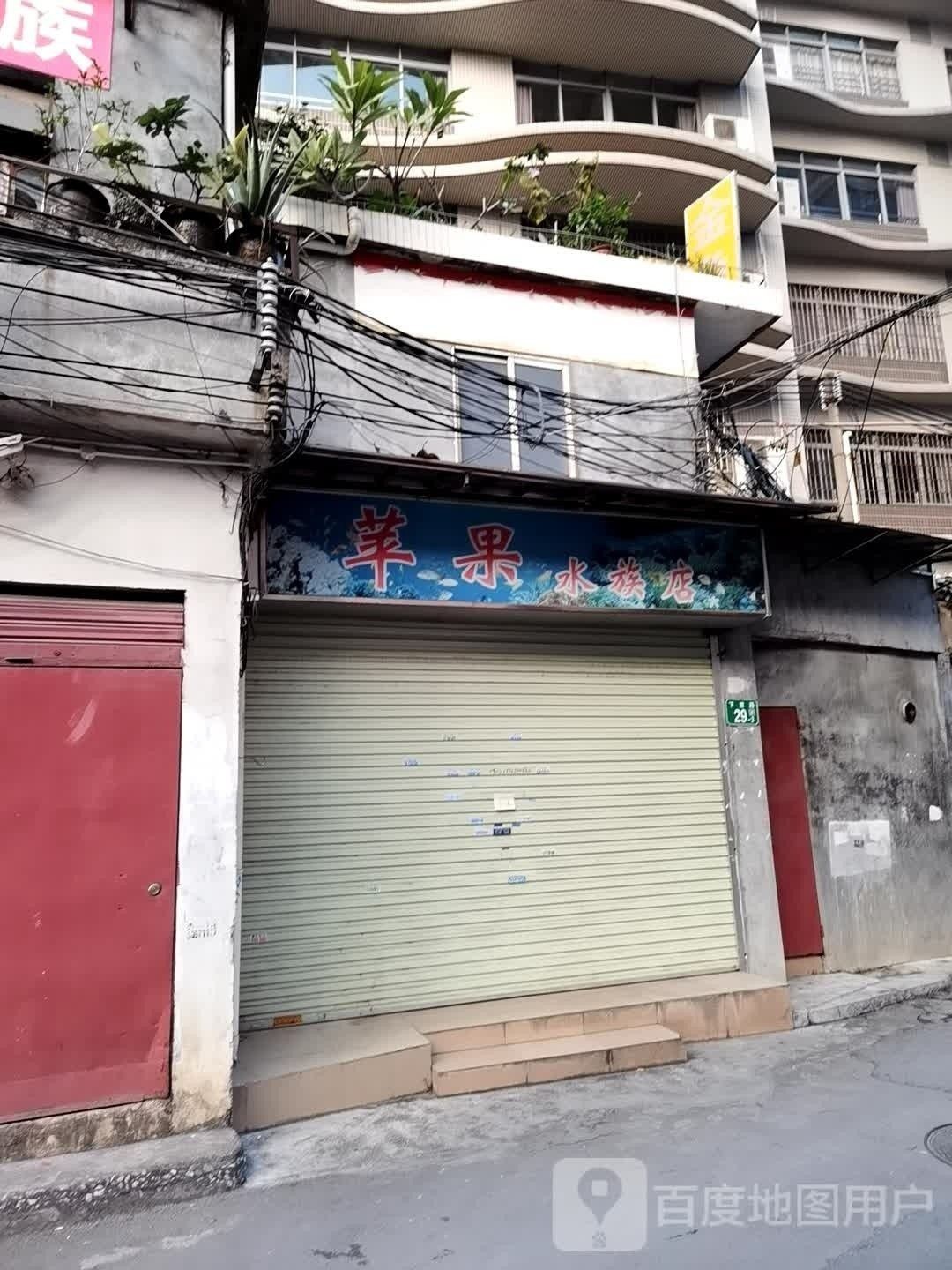 霍林郭勒開水族店怎么樣？加盟祥龍魚場賣龍魚市場怎樣？ 霍林郭勒開水族店怎么樣？加盟祥龍魚場賣龍魚市場怎樣？ 水族館百科（水族館加盟） 第2張