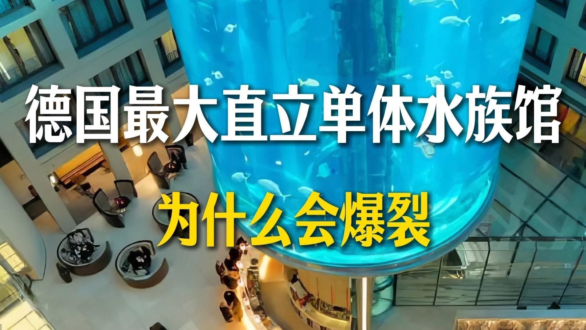 達茂旗開水族店怎么樣？加盟祥龍魚場賣龍魚市場怎樣？