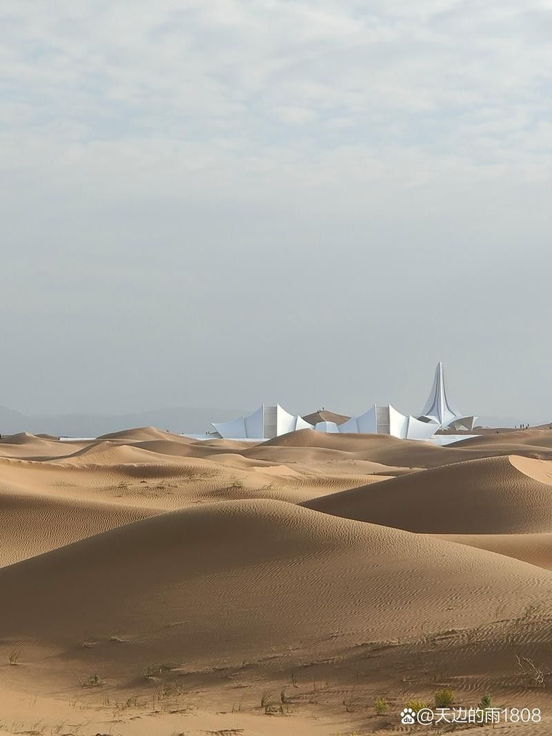 沙坡頭開水族店怎么樣？加盟祥龍魚場賣龍魚市場怎樣？