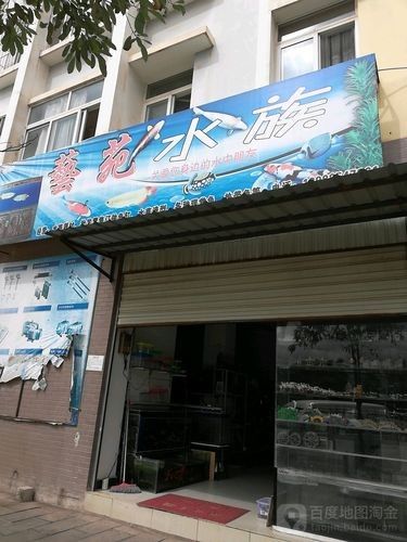 彌渡開水族店怎么樣？加盟祥龍魚場賣龍魚市場怎樣？ 彌渡開水族店怎么樣？加盟祥龍魚場賣龍魚市場怎樣？ 水族館百科（水族館加盟） 第1張