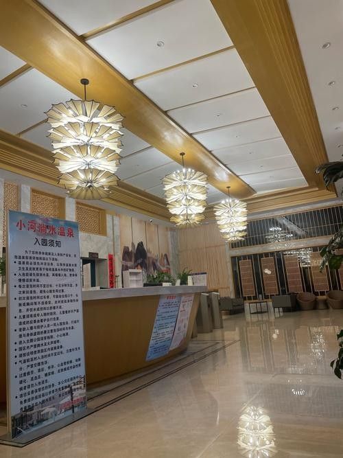 彌渡開水族店怎么樣？加盟祥龍魚場賣龍魚市場怎樣？ 彌渡開水族店怎么樣？加盟祥龍魚場賣龍魚市場怎樣？ 水族館百科（水族館加盟） 第6張