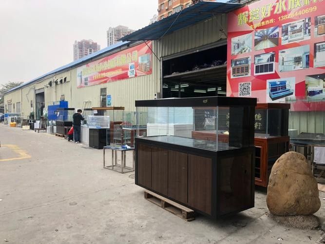 羅定開水族店怎么樣？加盟祥龍魚場(chǎng)賣龍魚市場(chǎng)怎樣？