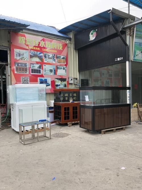 羅定開水族店怎么樣？加盟祥龍魚場(chǎng)賣龍魚市場(chǎng)怎樣？