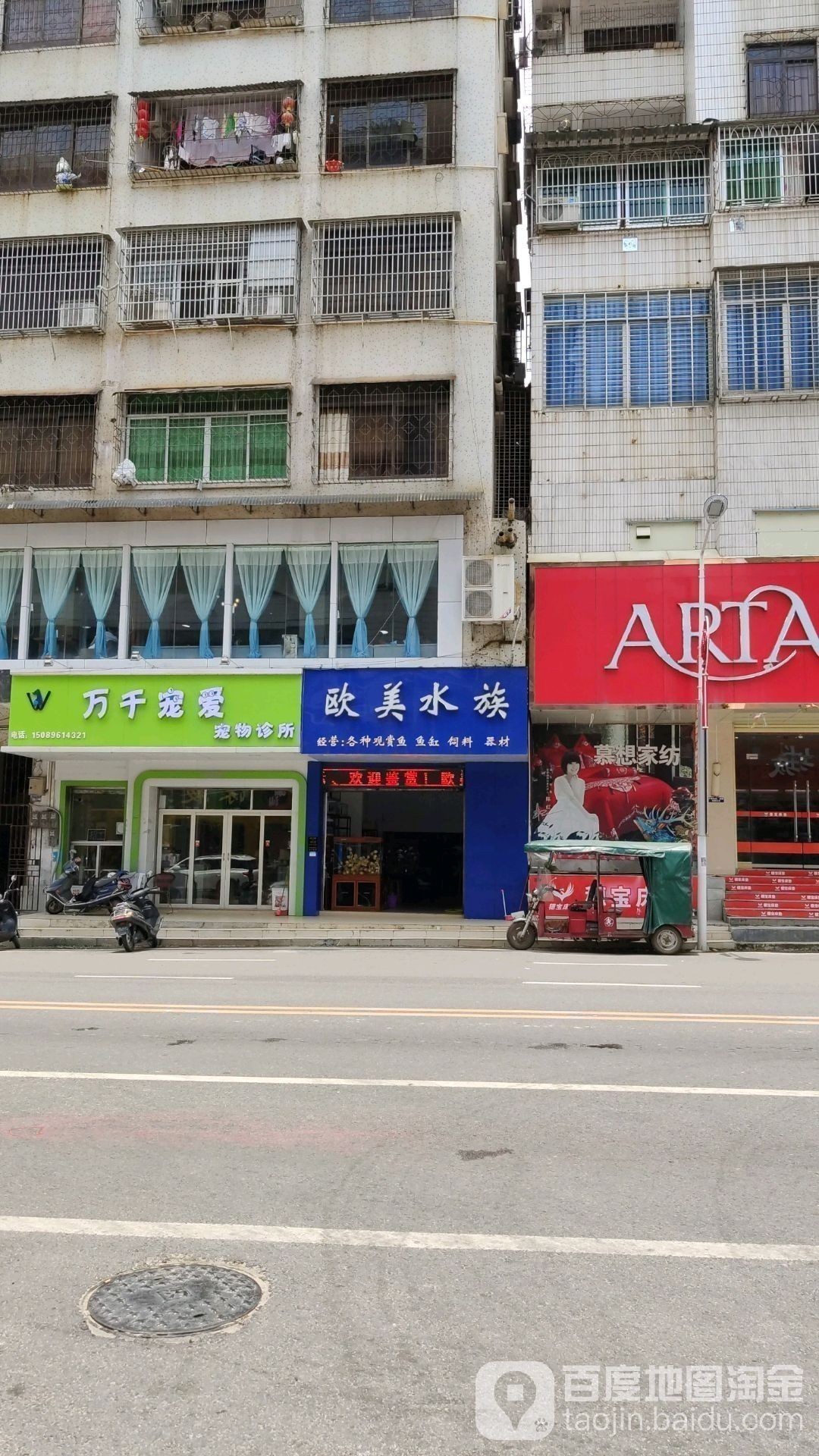 仙居開水族店怎么樣？加盟祥龍魚場賣龍魚市場怎樣？