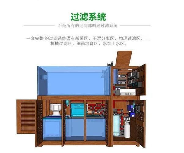 龍魚的正確飼養(yǎng)方法圖解