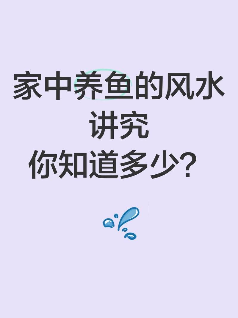 紅福龍魚圖片 紅福龍魚圖片 龍魚百科 第18張