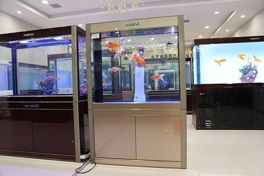 偃師開水族店怎么樣？加盟祥龍魚場賣龍魚市場怎樣？ 偃師開水族店怎么樣？加盟祥龍魚場賣龍魚市場怎樣？ 水族館百科（水族館加盟） 第9張