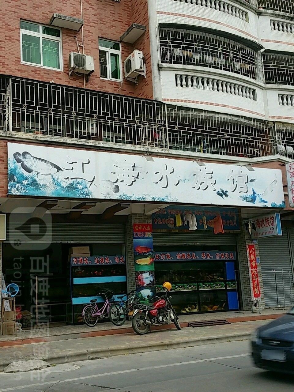 龍門開水族店怎么樣？加盟祥龍魚場賣龍魚市場怎樣？