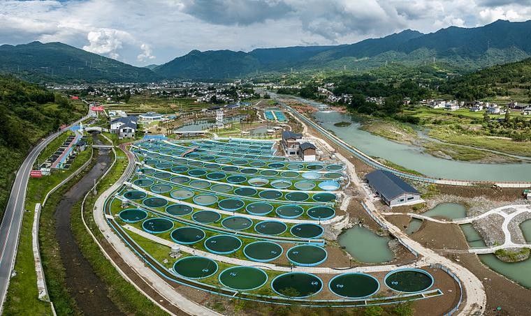 雅安開水族店怎么樣？加盟祥龍魚場(chǎng)賣龍魚市場(chǎng)怎樣？