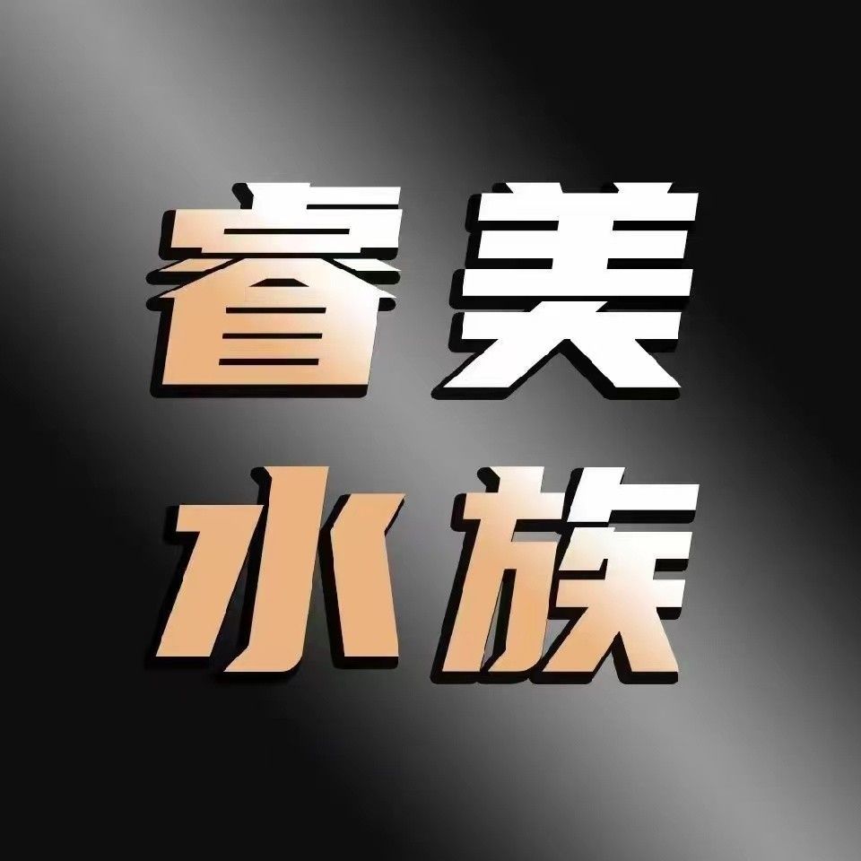 榆林開水族店怎么樣？加盟祥龍魚場賣龍魚市場怎樣？