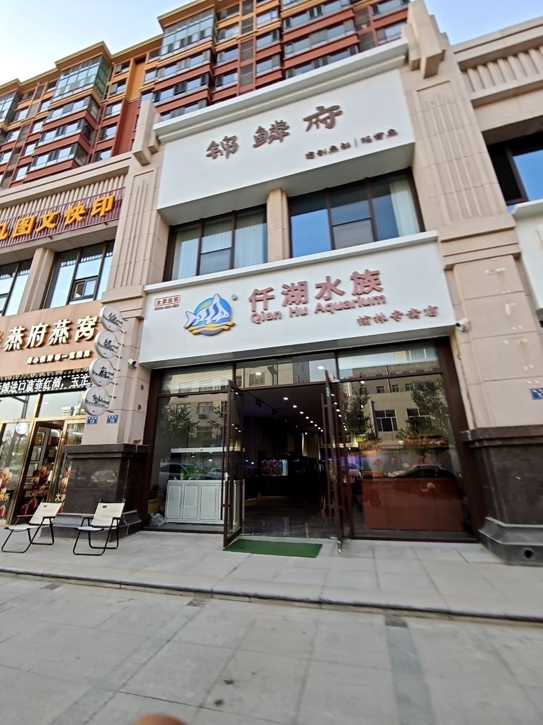 榆林開水族店怎么樣？加盟祥龍魚場賣龍魚市場怎樣？