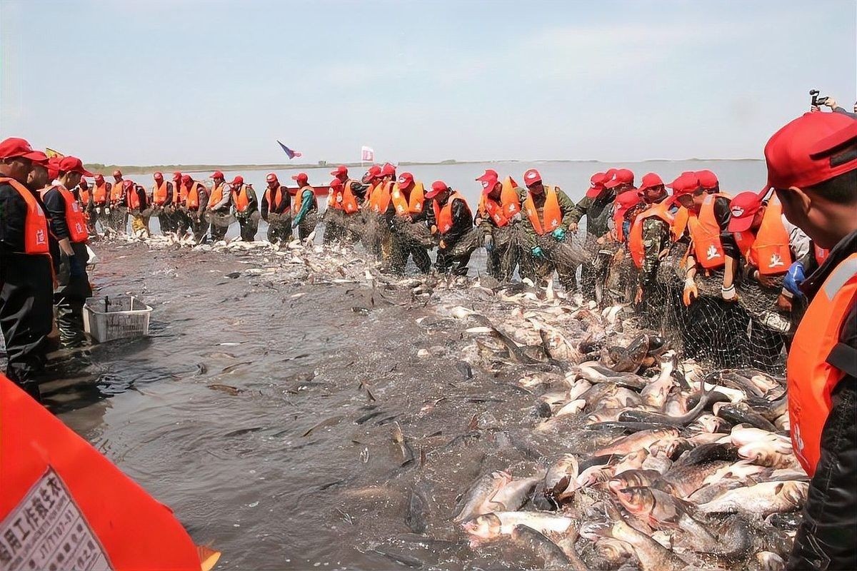 杜爾伯特開水族店怎么樣？加盟祥龍魚場賣龍魚市場怎樣？