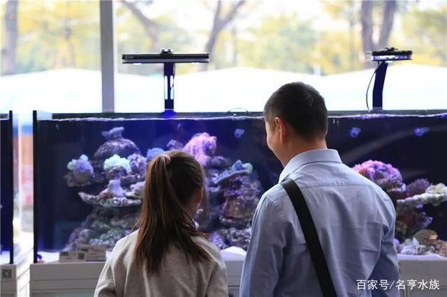 仁布開水族店怎么樣？加盟祥龍魚場賣龍魚市場怎樣？