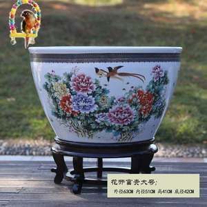 落地魚缸養錦鯉圖片真實(如何養護錦鯉水質錦鯉飼料選擇指南)