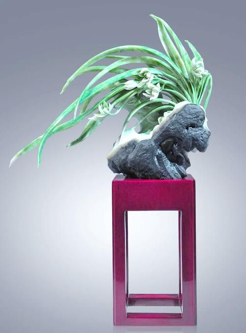 海水龍魚(yú)圖片大全大圖高清